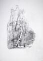 disegno 11