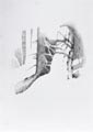 disegno 15