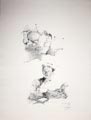 disegno 9