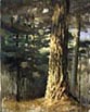 Transizione a bosco n.9